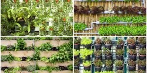 How to Make a DIY Vertical Garden