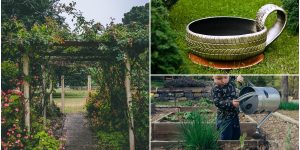 Budget-friendly DIY Landscaping Ideas for Your Home