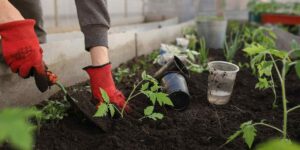 7 Essential Ergonomic Gardening Tools