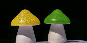 Illuminating My Space: Crafting a Unique Mushroom Table Lamp